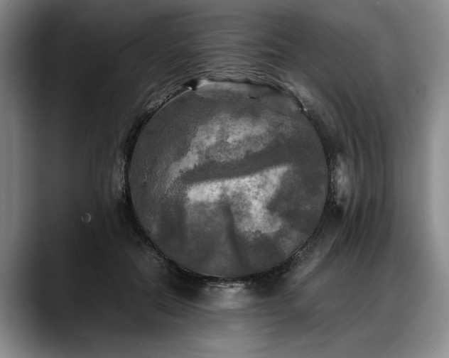 X0000088480554200705291629