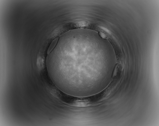X0000088480556200705291629