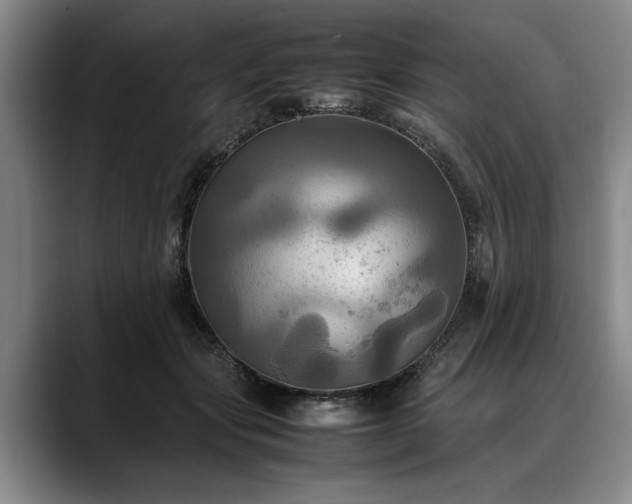 X0000088480557200705291629