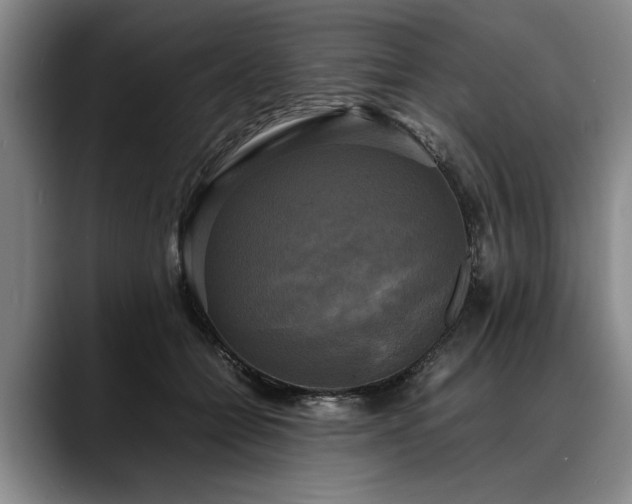 X0000088480558200705291629