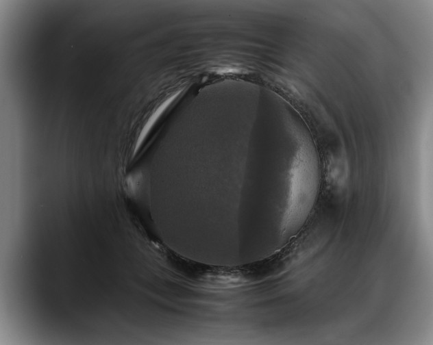 X0000088480559200705291630