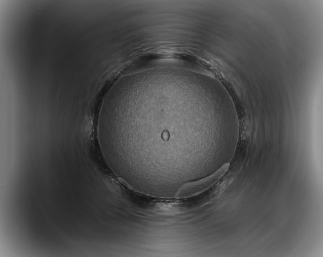 X0000088480560200705291630
