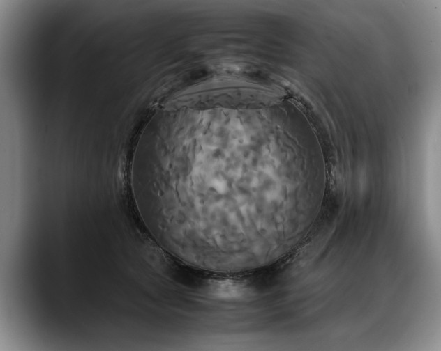 X0000088480561200705291630