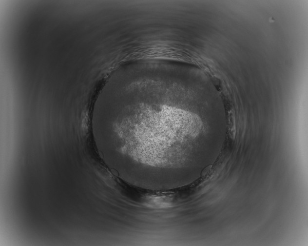 X0000088480563200705291630