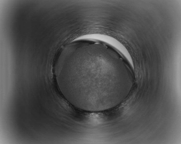 X0000088480566200705291630
