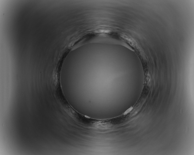 X0000088480568200705291630