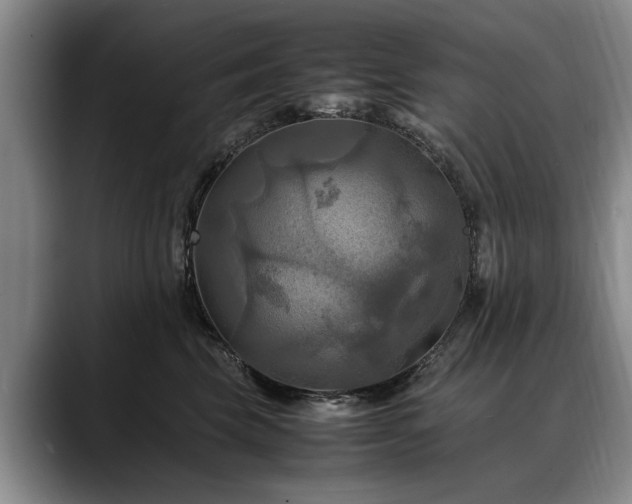 X0000088480569200705291630
