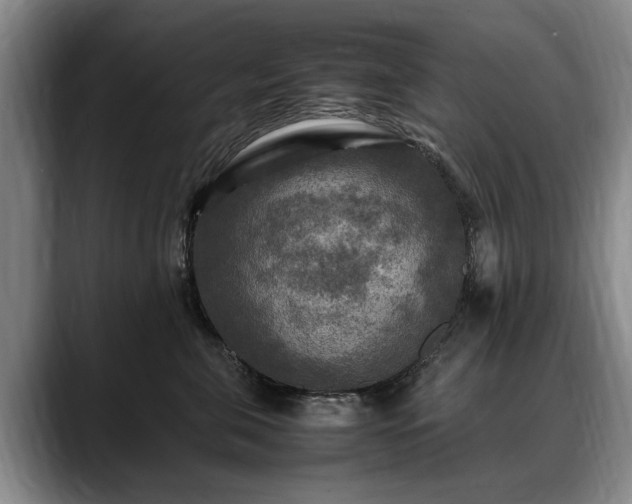 X0000088480571200705291630