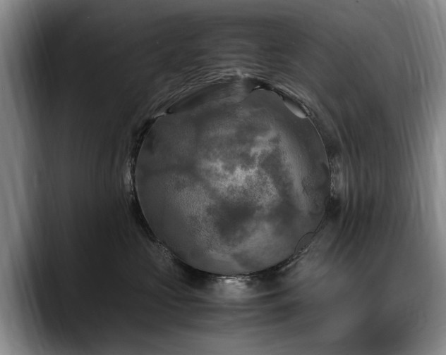 X0000088480573200705291630