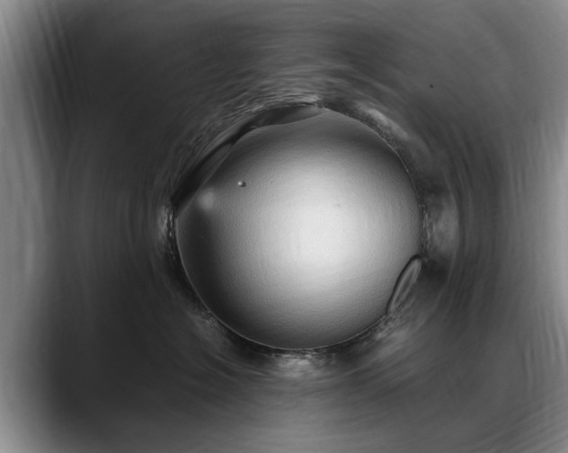 X0000088480574200705291630