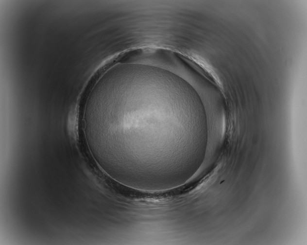 X0000088480580200705291629