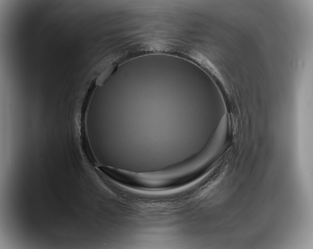 X0000088480581200705291629