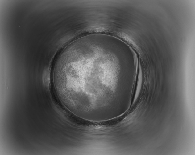 X0000088480582200705291629