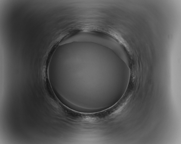 X0000088480585200705291629