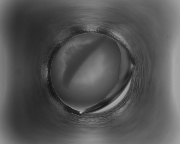 X0000088480589200705291629
