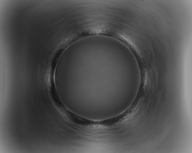 X0000088480590200705291629