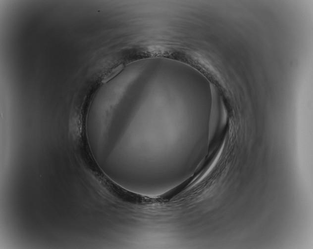 X0000088480593200705291629