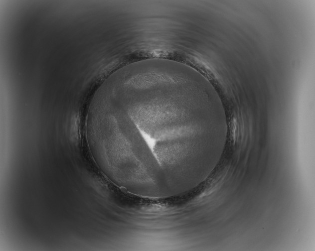 X0000088480594200705291629