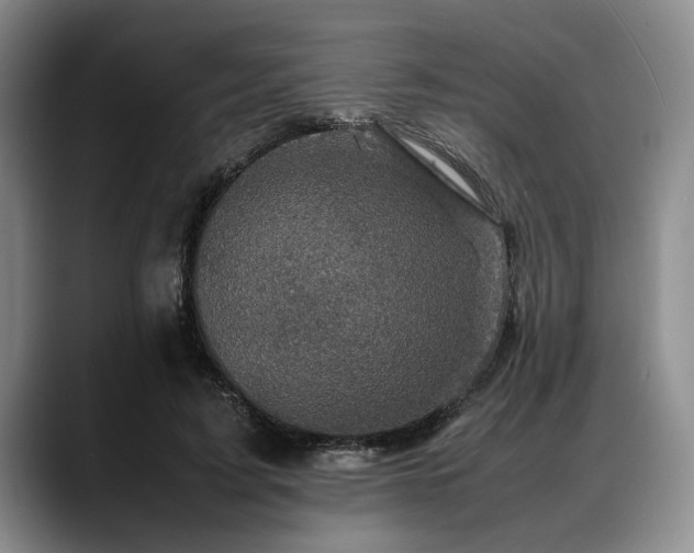 X0000088480595200705291629
