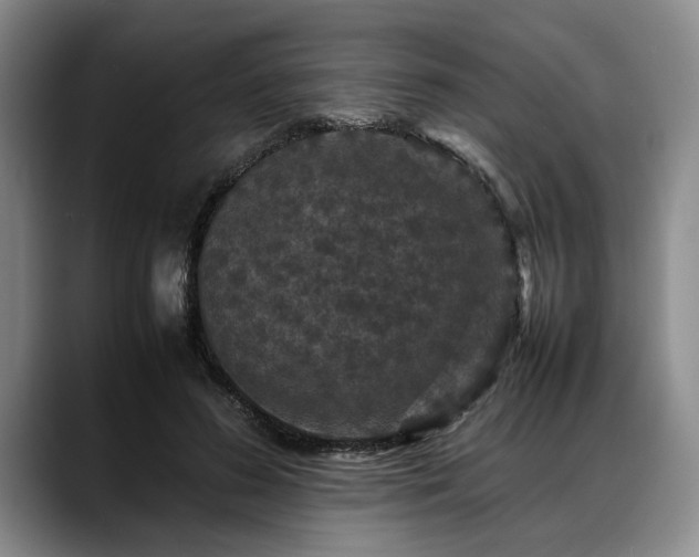 X0000088480596200705291629
