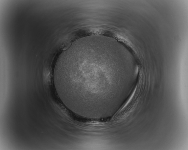 X0000088480597200705291629