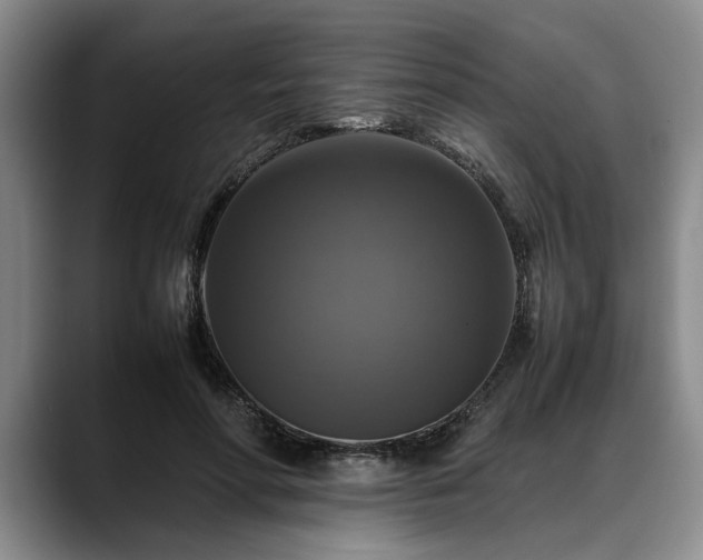 X0000088480598200705291629