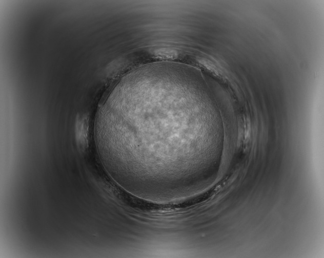 X0000088480600200705291629