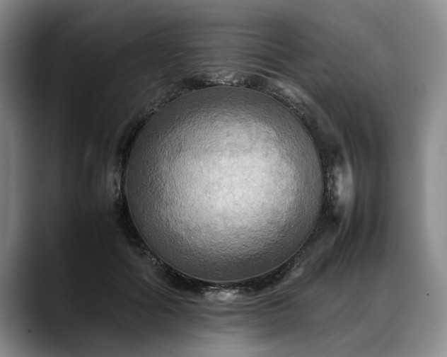 X0000088480602200705291629