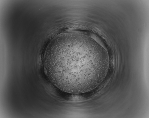 X0000088480605200705291629