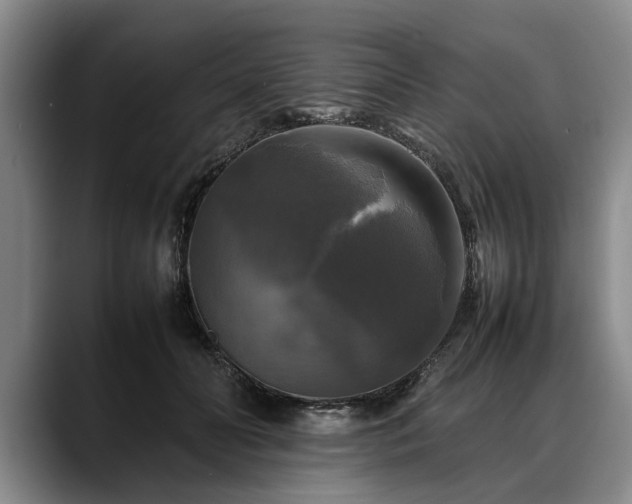 X0000088480606200705291629
