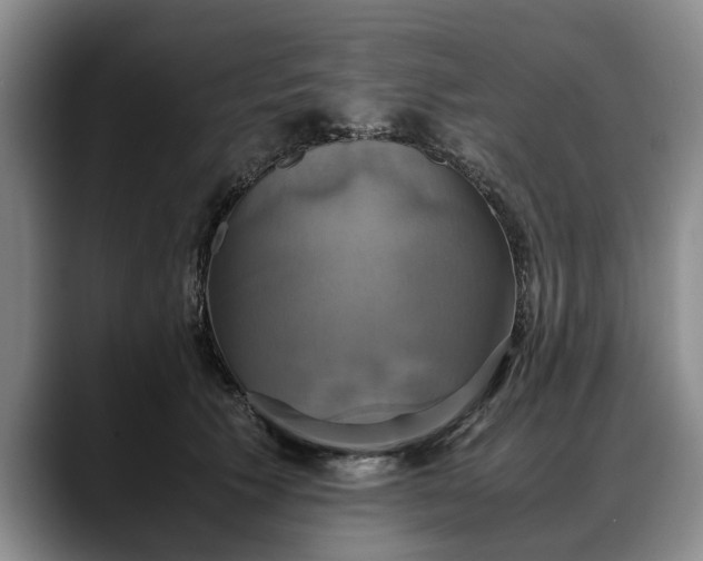 X0000088480609200705291629