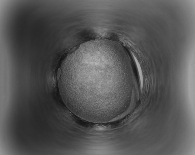 X0000088480613200705291629