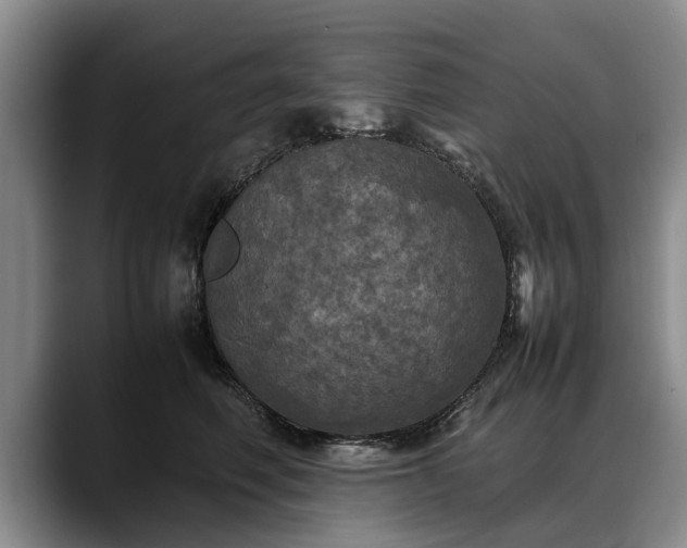 X0000088480614200705291629