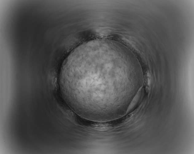X0000088480615200705291629
