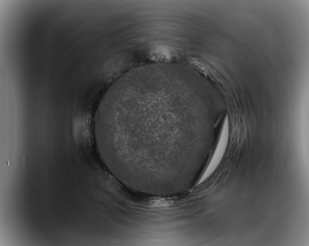 X0000088480616200705291629