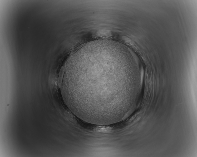 X0000088480617200705291629