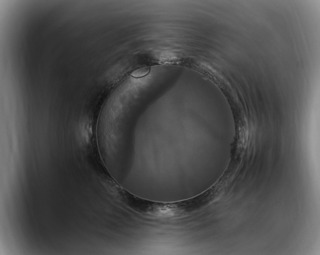X0000088480618200705291629
