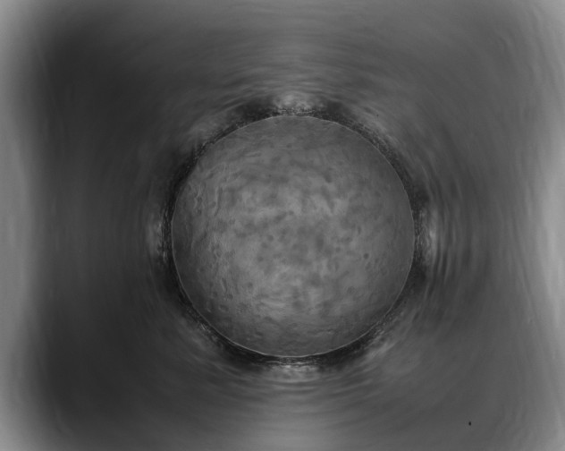 X0000088480619200705291629