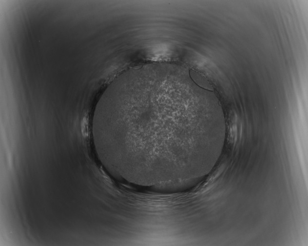 X0000088480620200705291629