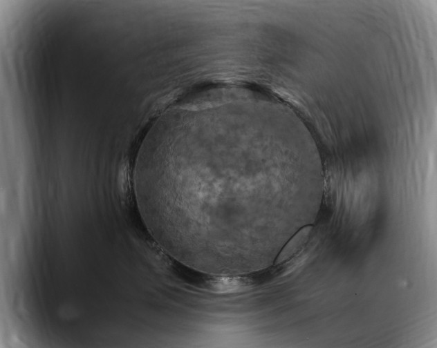 X0000088480623200705291629