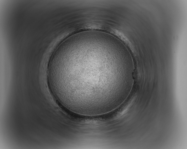 X0000088480625200705291628