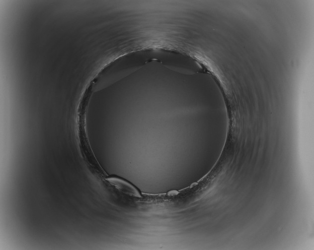 X0000088480626200705291628