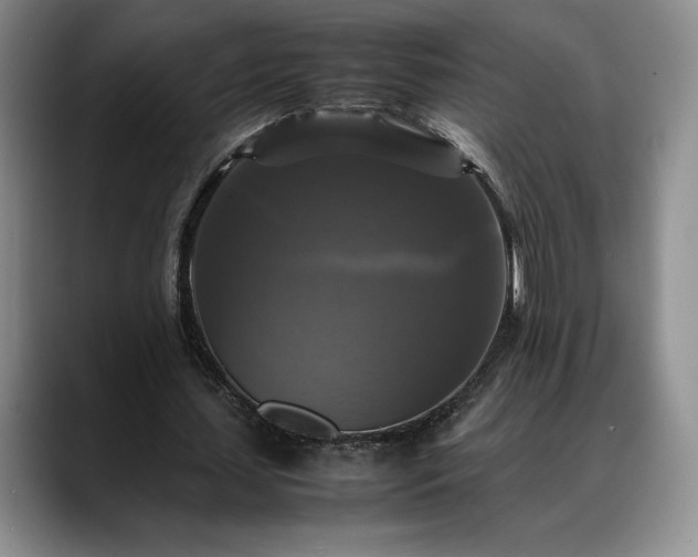 X0000088480627200705291628