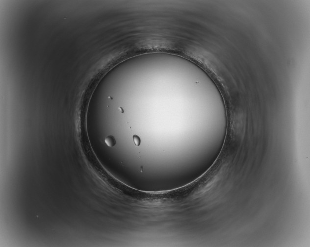 X0000088480629200705291628