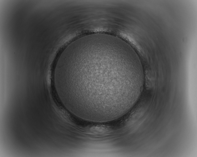 X0000088480631200705291628