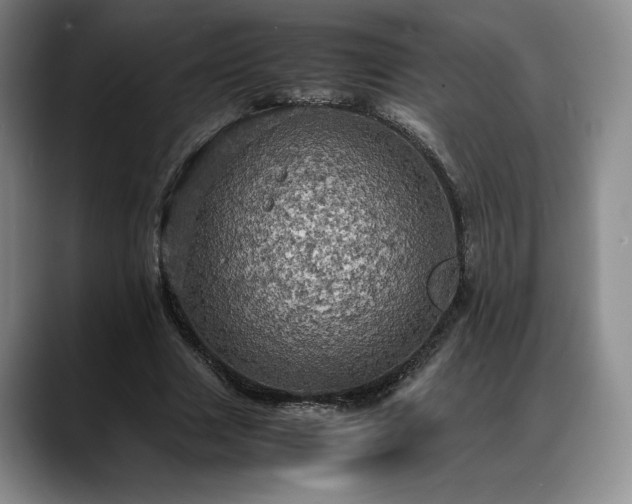 X0000088480633200705291628