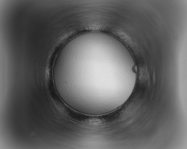 X0000088480636200705291628