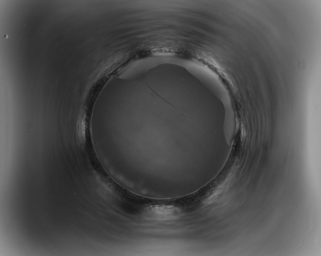 X0000088480637200705291628