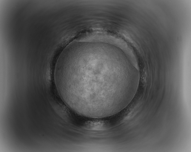 X0000088480639200705291628