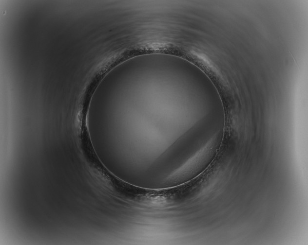 X0000088480640200705291628